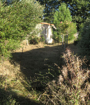 Aménager votre jardin